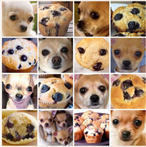 [Blog da Zênite] Cachorro ou Muffin? O que a IA realmente vê (e o que só nós enxergamos)